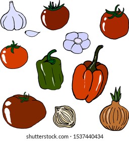 Food vector illustration. Vegetables. Vegan. For print, design, back surface, textile, tablecloth, kitchen, packaging, web. Colored hand drawn vector illustration.