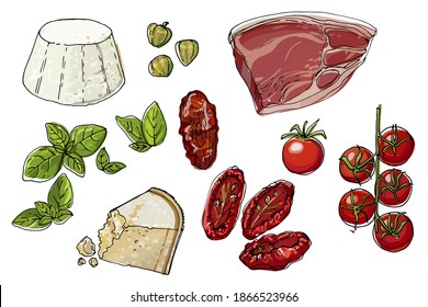 Food vector sketch tomatoes, basil, parmesan cheese, ricotta, sun-dried tomatoes, a piece of meat, spices and herbs