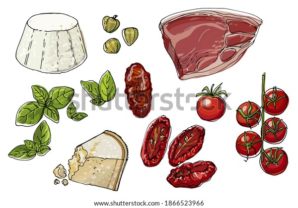 Food vector\
sketch tomatoes, basil, parmesan cheese, ricotta, sun-dried\
tomatoes, a piece of meat, spices and\
herbs