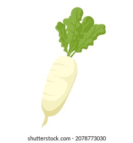 Food vegetable daikon radish cartoon vector isolated object