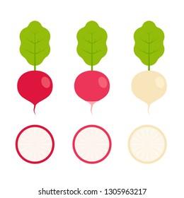 Food - Vegetable - Flat Vector Icon Set - Turnip and Radish Isolated on White Background