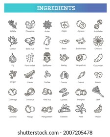 Food, vegetable, fruit, berries, beans, organic diet, culinary line icons, signs.