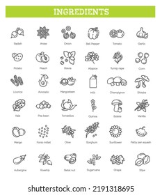 Food, vegetable, fruit, berries, beans, organic diet, culinary line icons, signs