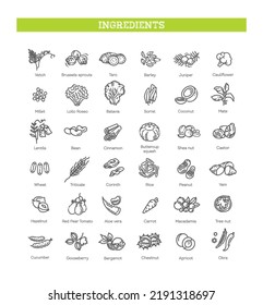 Food, vegetable, fruit, berries, beans, organic diet, culinary line icons, signs