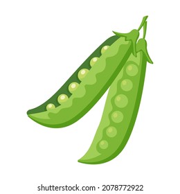 Food vegetable snow peas cartoon vector isolated object