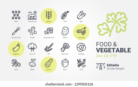 Food & Vegetable vector icons