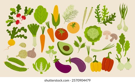 Food vegetables. Icon radish, spinach, onion and carrot, fresh corn, green cucumber, burdock and garlic, turnip. Healthy ingredients. Cooking vegetarian diet. Autumn harvest vector doodle isolated set