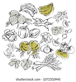 food vegetables set