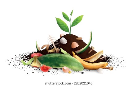 Food Waste Realistic Set With Isolated View Of Food Scraps Pile And Sprout Growing From It Vector Illustration