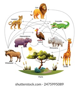 Food web ecosystem of African animals vector cartoon illustration