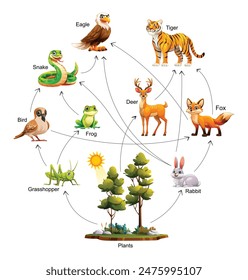 Food web ecosystem. Vector cartoon illustration