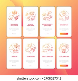 Food web onboarding mobile app page screen with concepts set. Detritus and animal food chains walkthrough 4 steps graphic instructions. UI vector template with RGB color illustrations