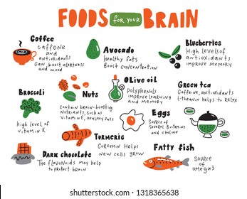 Food For Your Brain. Doodle Illustration Of Different Healthy Food And Nutrition Facts. Made In Vector