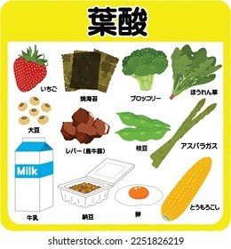 Foods containing folic acid. Japanese text means strawberry, roasted seaweed, broccoli, spinach, soybean, liver (chicken beef pork), edamame, asparagus, milk, natto, egg, corn