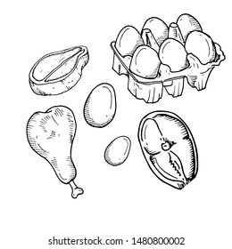 Foods is hand draws in vector.