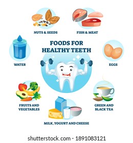 Foods for healthy teeth as nutrition diet and product influence to oral care. Educational labeled list for tooth protection and decay prevention examples with right supplement vector illustration.