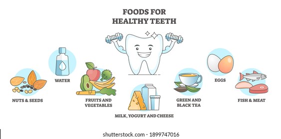 Foods for healthy teeth as nutrition influence to oral care outline concept. Educational labeled list for tooth protection and decay prevention examples with right supplement diet vector illustration.