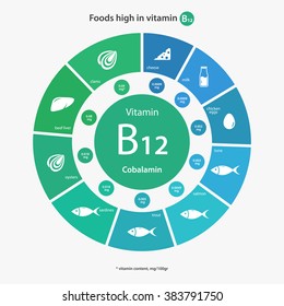 Foods high in vitamin B12. Healthy lifestyle and diet vector illustration infographics with icons.