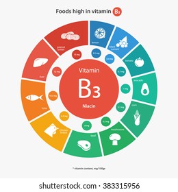 Foods high in vitamin B3. Healthy lifestyle and diet vector illustration infographics with icons.