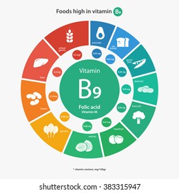 Foods high in vitamin B9. Healthy lifestyle and diet vector illustration infographics with icons.