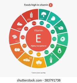 Foods high in vitamin E. Healthy lifestyle and diet vector illustration infographics with icons.