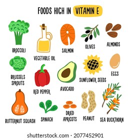 Foods high in vitamin E. Source of vitamin E. Flat vector cartoon illustration. Fruits, vegetables, nuts, oil and fish. Healthy lifestyle and diet