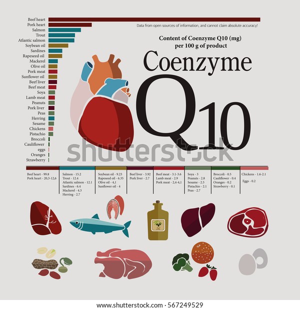 Foods Highest Content Coenzyme Q10 Fish Stock Vector (Royalty Free