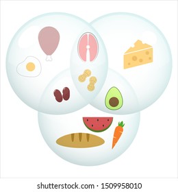 Foods icons vector design. Macro nutrients in different foods vector illustration