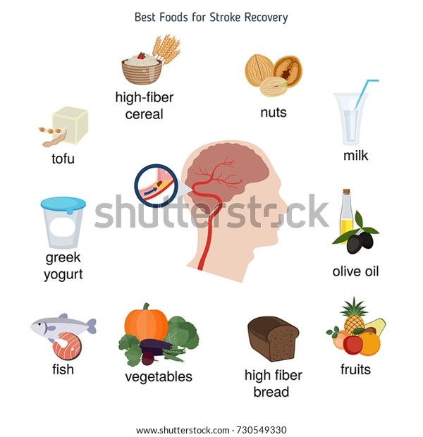 Foods Infographics Best Foods Stroke Recovery Stock Vector (Royalty ...