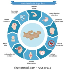 Foods infographics. Health benefits of ginger root.