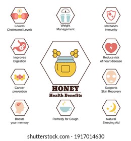 Foods infographics. Health benefits of honey.