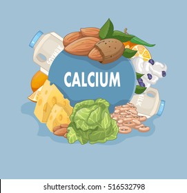 Foods rich in calcium vector cartoon illustration