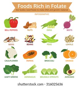 Foods Rich In Folate, Vegetable And Fruit Icon Vector Illustration