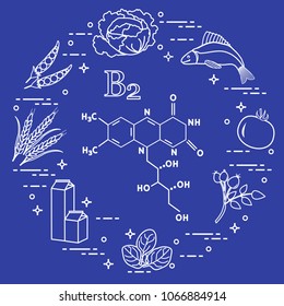 Foods rich in vitamin B2. Cabbage, fish, tomato, dog rose, spinach, milk, wheat, peas.