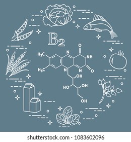 Foods rich in vitamin B2. Cabbage, fish, tomato, dog rose, spinach, milk, wheat, peas.