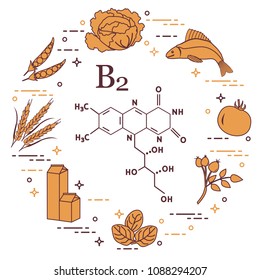 Foods rich in vitamin B2. Cabbage, fish, tomato, dog rose, spinach, milk, wheat, peas.