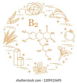 Foods rich in vitamin B2. Cabbage, fish, tomato, dog rose, spinach, milk, wheat, peas.