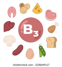 Foods rich in vitamin B3. Poster vitamin PP in the center with food icons around it: apeanuts, cheese, meat, chicken, etc. Vector illustration