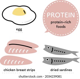 foods that contain large amounts of protein