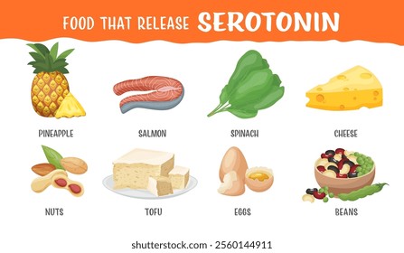 Foods that naturally help release serotonin. Important chemicals. Landscape banner. Useful medical information. Healthy eating concept. Editable vector illustration isolated on a white background.