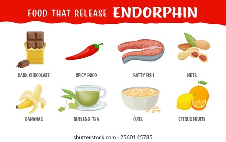 Foods that release endorphins. Important neurotransmitters. Landscape poster, banner. Useful medical information. Healthy eating concept. Editable vector illustration isolated on a white background.