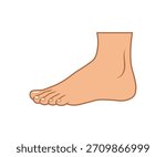 Foot anatomy human limb vector cartoon medical reference. Barefoot educational diagram foot element design.