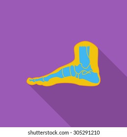 Foot anatomy icon. Flat vector related icon with long shadow for web and mobile applications. It can be used as - logo, pictogram, icon, infographic element. Vector Illustration.