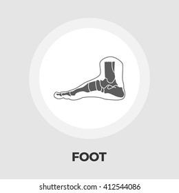 Foot anatomy icon vector. Flat icon isolated on the white background. Editable EPS file. Vector illustration.