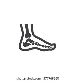 Foot anatomy. Single flat icon on white background. Vector illustration.