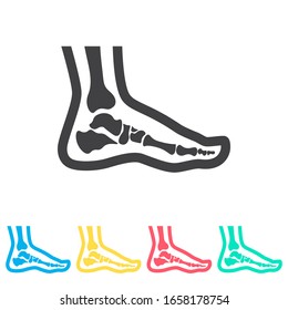Foot anatomy. Single flat multi color icon set. Simple glyph, flat vector of medical icons for ui and ux, website or mobile application