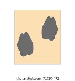 Foot Animal Vector black icon on color sticker. Material design