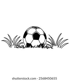 Foot ball with nice grass white