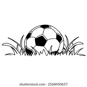 Foot ball with nice grass white
