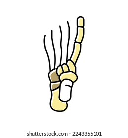 foot bone color icon vector. foot bone sign. isolated symbol illustration